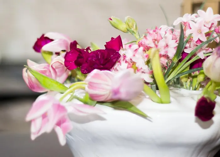 Galerie Dis Maastricht