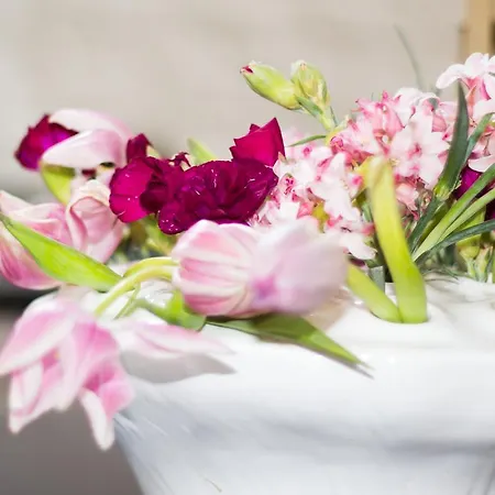 迪斯画廊酒店 马斯特里赫特