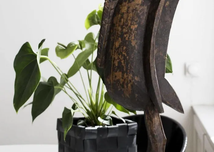 Galerie Dis فندق