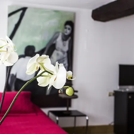 Hotel Galerie Dis