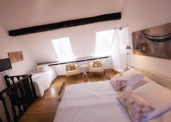 Galerie Dis Hotel 3*